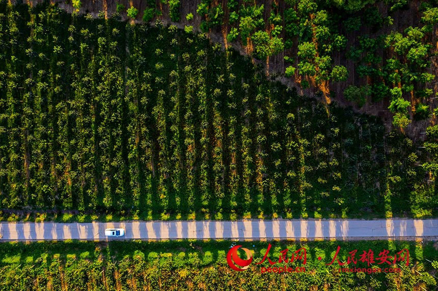 7d356c3825288aa1975738aad5aac7ed_LOCAL202204220808000024270359580.jpg 7d356c3825288aa1975738aad5aac7ed_LOCAL202204220808000024270359580.jpg