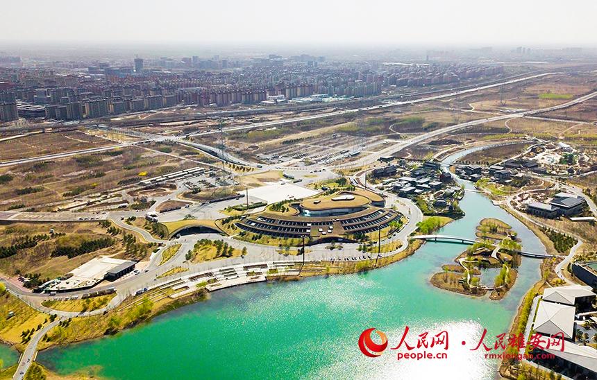 航拍雄安郊野公園。人民網(wǎng)宋燁文攝