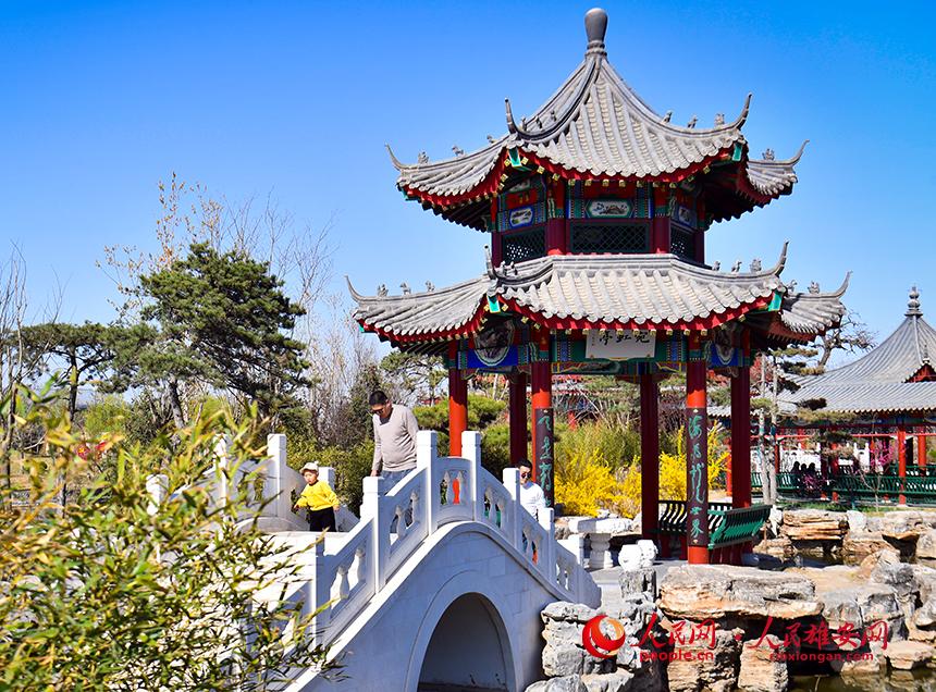 春天的雄安郊野公園，春和景明。人民網(wǎng)宋燁文攝