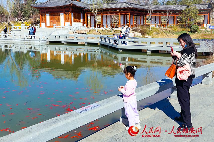 雄安悅?cè)莨珗@一角，不少家長帶著孩子前來游玩。人民網(wǎng)宋燁文攝