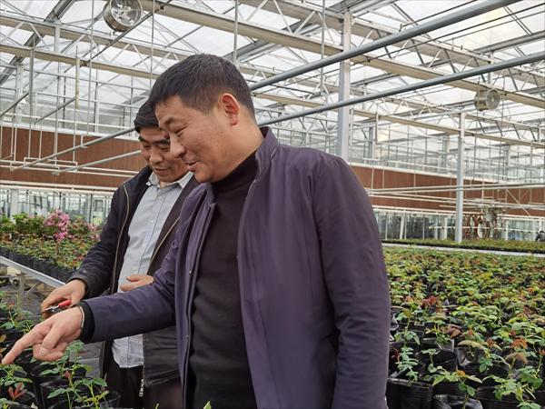 諸新良和農(nóng)戶一起研究花木種植技術(shù)。受訪者供圖