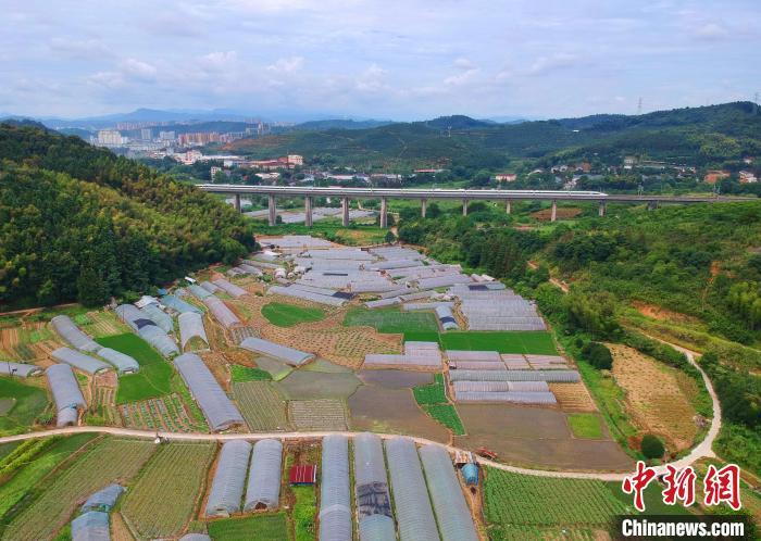 c5ffa44d7e50a76826dee037d3a4fab9_bff7db72-aa09-409e-9436-7071396800b3_zsite.jpg c5ffa44d7e50a76826dee037d3a4fab9_bff7db72-aa09-409e-9436-7071396800b3_zsite.jpg