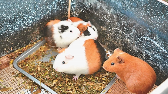 372c8329ee53b395989ea8cd034dc79a_562b2dbe-c136-45ff-90bb-bcadc01da593.jpg 372c8329ee53b395989ea8cd034dc79a_562b2dbe-c136-45ff-90bb-bcadc01da593.jpg