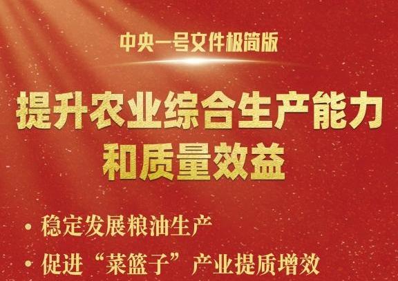 中央一號(hào)文件，極簡(jiǎn)版來(lái)了！