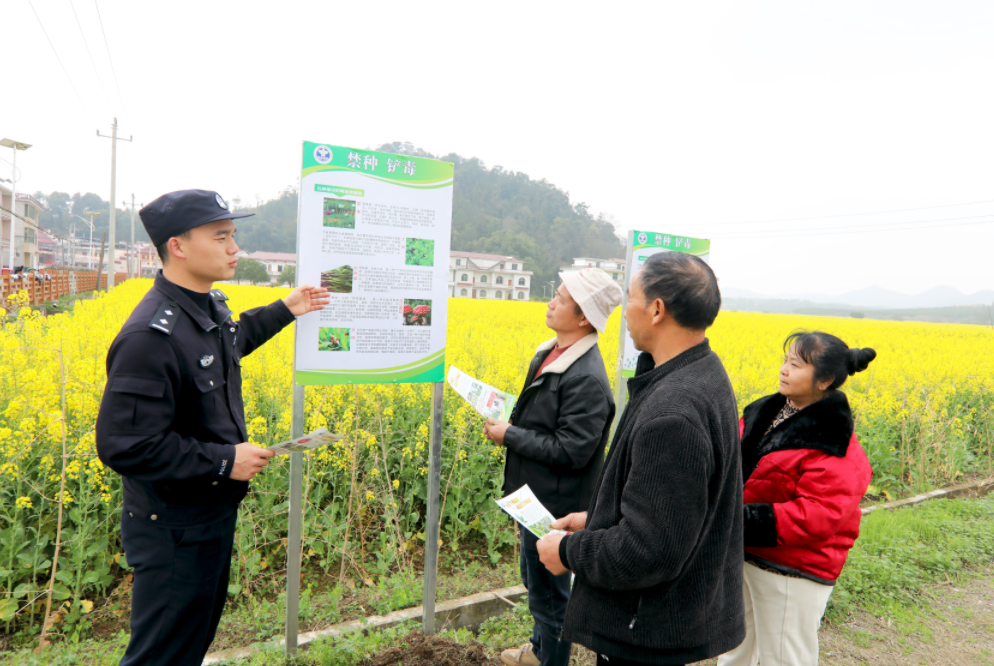 江西分宜：禁種鏟毒筑牢無毒防線