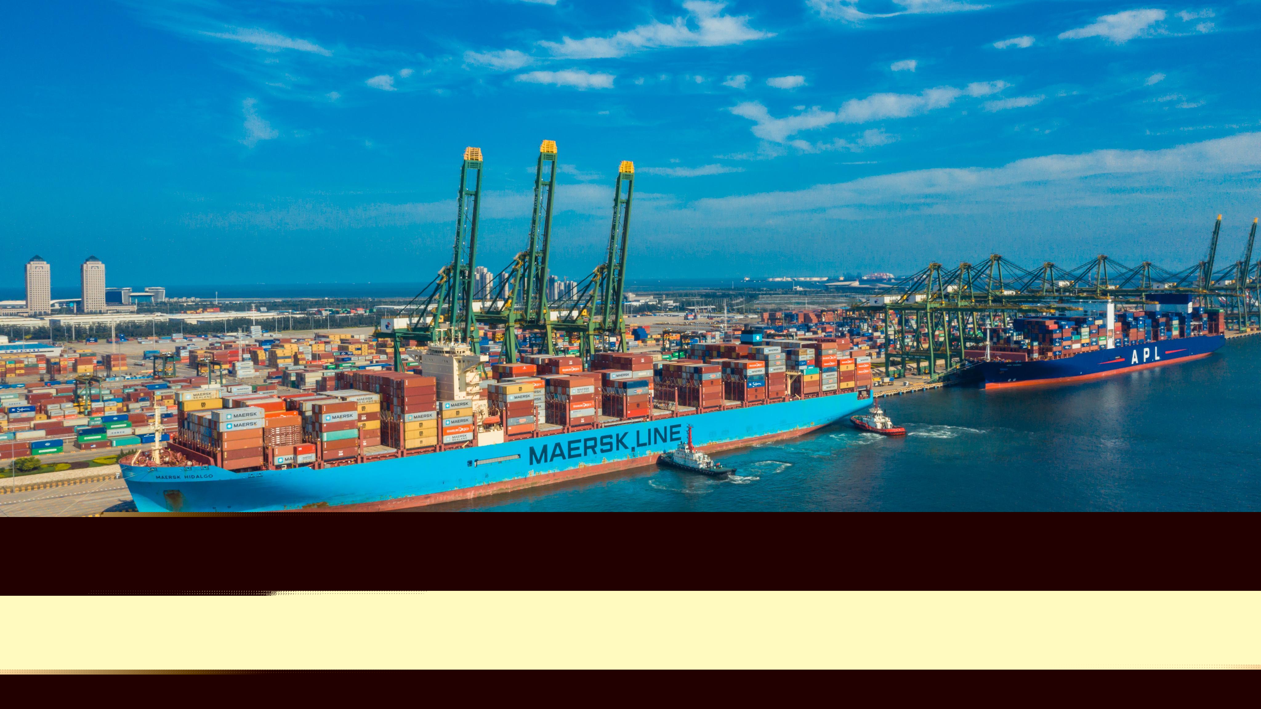 天津港太平洋國(guó)際集裝箱碼頭有限公司